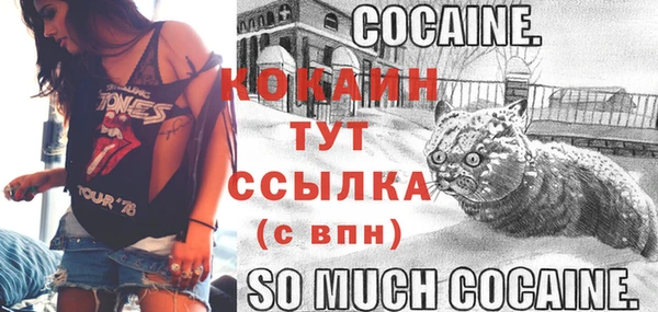 кокаин Белокуриха