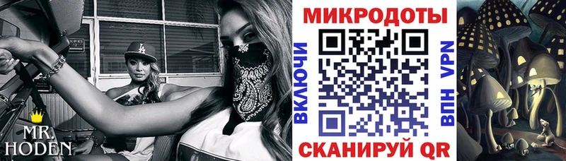 Галлюциногенные грибы GOLDEN TEACHER  OMG ссылки  Венёв 